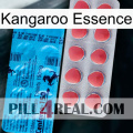 Kangaroo Essence new14